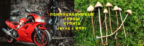 мяу мяу мука Алзамай