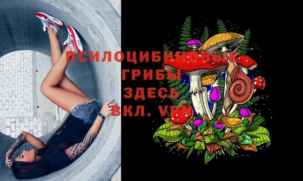 винт Алексеевка