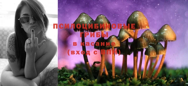 мяу мяу мука Алзамай