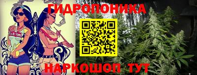 прущие крисы Новодвинск