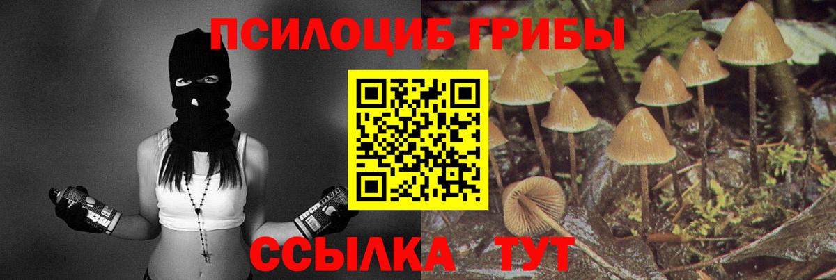 Усинск  Галлюциногенные грибы GOLDEN TEACHER  Вход с VPN  Псилоцибиновые грибы Psilocybe 